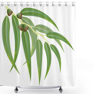 Personality  Eucalyptus Branch. Vector Illustration. Shower Curtains