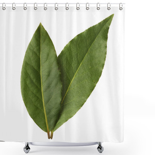 Personality  Bay Leaves Isolated On White Background Shower Curtains