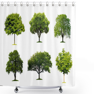 Personality  Collection Of Isolated Summer Tree Shower Curtains