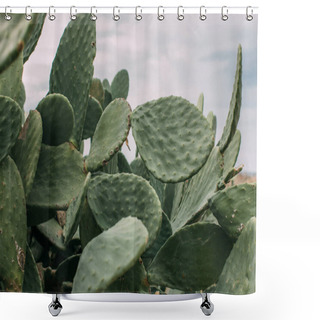 Personality  Selective Focus Of Green Cactus With Spikes On Leaves Against Sky Shower Curtains