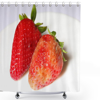 Personality  Healthy And Rotten Spoiled Bad Red Strawberries Shower Curtains
