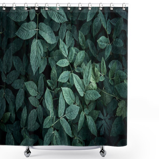 Personality  Trend Dark Green Background With Leaves. Plant In Shadow. Copyspace For Design Shower Curtains
