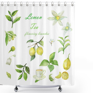Personality  Pattern Lemon On White And Color Background. Shower Curtains