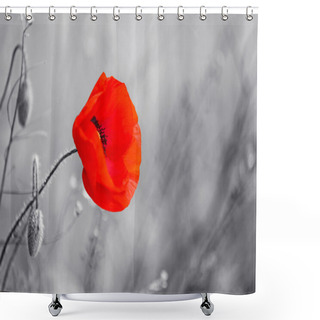 Personality  Red Poppy Flower Shower Curtains