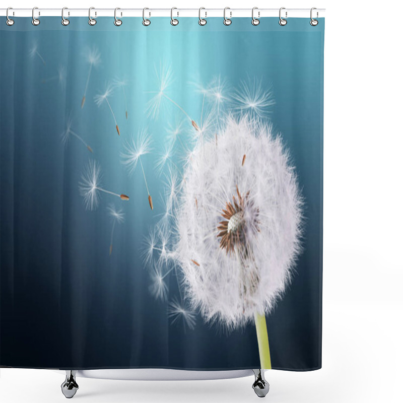 Personality  Dandelion flying on blue background shower curtains