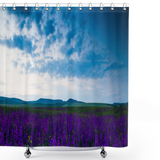 Personality  Purple Flower Field Shower Curtains