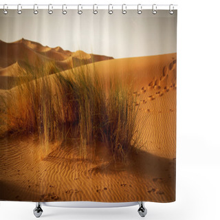Personality  A Moroccan Desert Scenery With Desert Grass Plantation, Dunes On The Horizon And Neverending Footsteps On The Glowing Sand Surface, In The Upcoming Evening Light With Shadows Shower Curtains