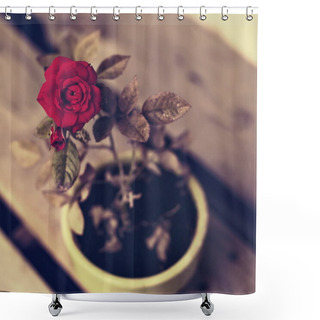 Personality  Beautiful Red Rose In Ceramic Pot Shower Curtains