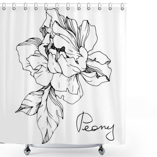 Personality  Vector Isolated Monochrome Peony Flower Sketch And Handwritten Lettering On White Background. Engraved Ink Art.  Shower Curtains