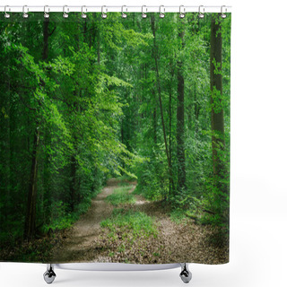 Personality  Path In Green Beautiful Forest In Wurzburg, Germany Shower Curtains
