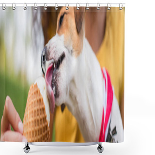 Personality  Panoramic Crop Of Jack Russell Terrier Dog Eating Ice Cream Shower Curtains