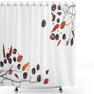 Personality  Dried Autumn Leaves And Chestnuts Shower Curtains