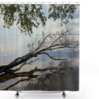 Personality  Green Leaves On Branches Near River With Blue Sky Reflection On Water Shower Curtains
