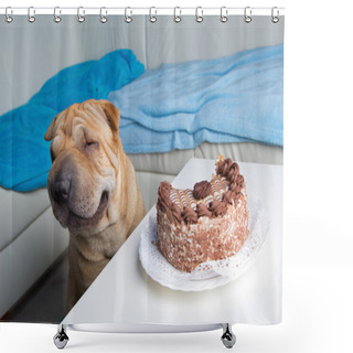 Personality  Sharpei Dog With Cake Shower Curtains