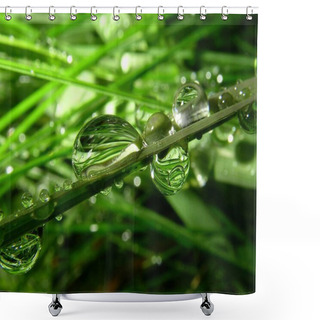 Personality  Fresh Green Grass With Dew Drops Shower Curtains