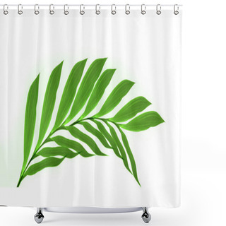 Personality  Close Up Of  Green Leaves On White Shower Curtains