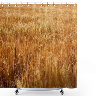 Personality  Wheat Shower Curtains