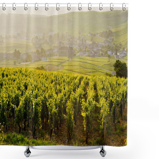 Personality  Vineyards Near Fuisse, Burgundy, France Shower Curtains