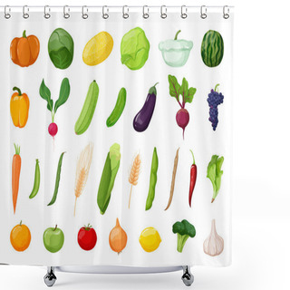Personality  Vector Detailed Vegetables And Fruits. Food Illustrations In Modern Style. Shower Curtains