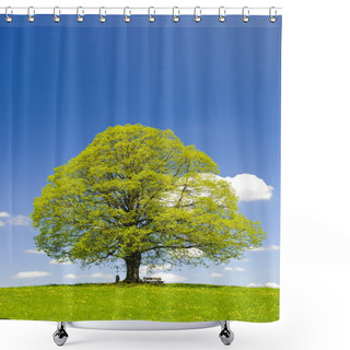 Personality  Single Big Linden Tree Shower Curtains