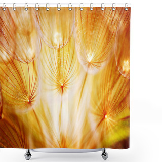 Personality  Soft Dandelion Flower Shower Curtains