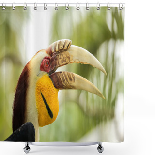 Personality  Yellow Billed Hornbills Shower Curtains