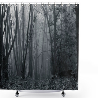 Personality  A Moody, Spooky, Foggy Forest, With A Grainy, Grunge, Monochrome Edit. Shower Curtains
