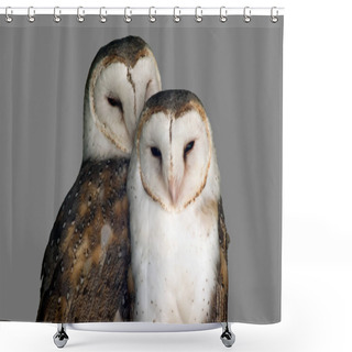 Personality  The Barn Owl Has A White Face And Chest And Is Brown In The Back Shower Curtains