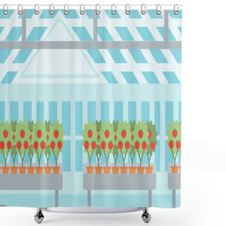 Personality  Background Of Tomatoes In The Greenhouse. Shower Curtains