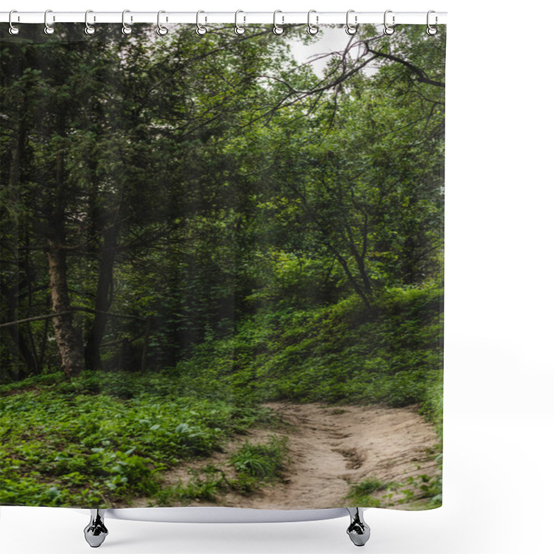 Personality  Rural Pathway In Beautiful Green Forest On Hill Shower Curtains
