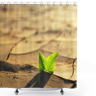 Personality  Plant Growing Through Dry Cracked Soil Shower Curtains