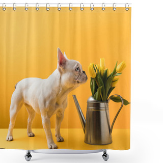 Personality  Dog Sniffing Beautiful Yellow Tulips In Watering Can On Yellow Shower Curtains