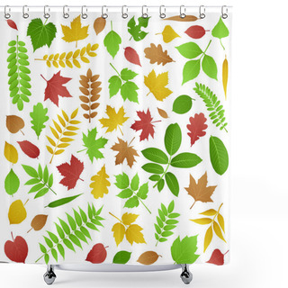 Personality  Collection Of Green And Autumn Leaves Shower Curtains