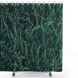 Personality  Full Frame Shot Of Green Fir Branches For Background Shower Curtains