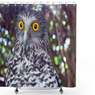 Personality  Powerful Owl Shower Curtains