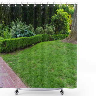 Personality  Grassy Lawn And Large Tree In A Garden Shower Curtains