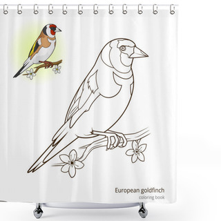 Personality  European Goldfinch Color Book Vector Shower Curtains