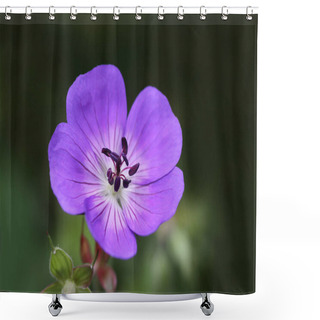 Personality  Cranesbill Violet Purple Flowers Petals, Flora  Shower Curtains