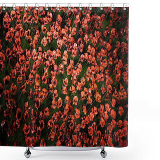 Personality  Remembrance Day Display In Westminster Abbey Shower Curtains
