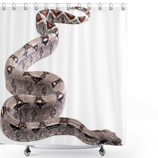 Personality  Serpent Shower Curtains