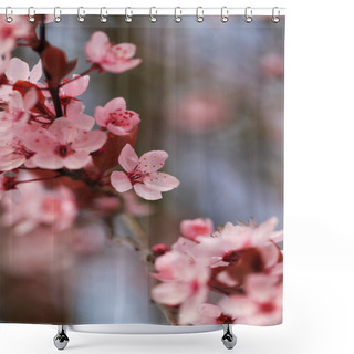 Personality  Blooming Spring Shower Curtains