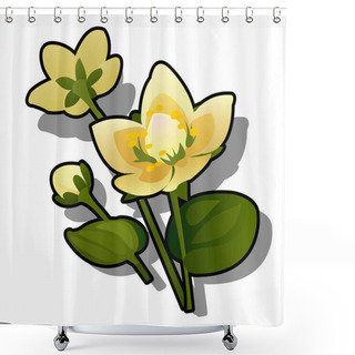 Personality  Yellow Flowers Of Caltha Or Caltha Palustris Isolated On White Background. Vector Cartoon Close-up Illustration. Shower Curtains