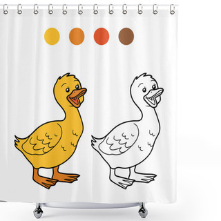 Personality  Coloring Book (goose, Chick) Shower Curtains
