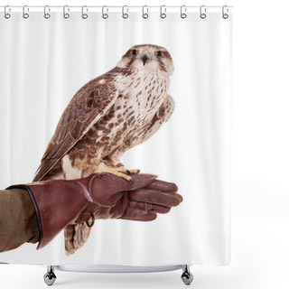 Personality  Saker Falcon Isolated On White Shower Curtains