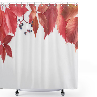 Personality  Top View Of Wild Grapes Branch With Red Leaves And Berries Isolated On White With Copy Space Shower Curtains