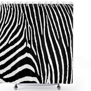 Personality  Zebra Pattern Large Shower Curtains