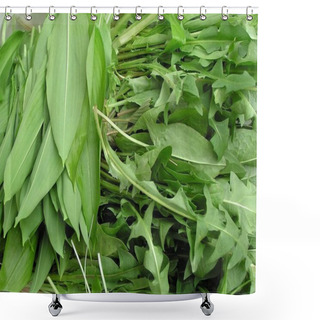 Personality  Closeup View Of Natural Dandelion Flower Shower Curtains
