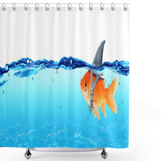 Personality  Small Fish With Ambitions Of A Big Shark - Business Concept Shower Curtains