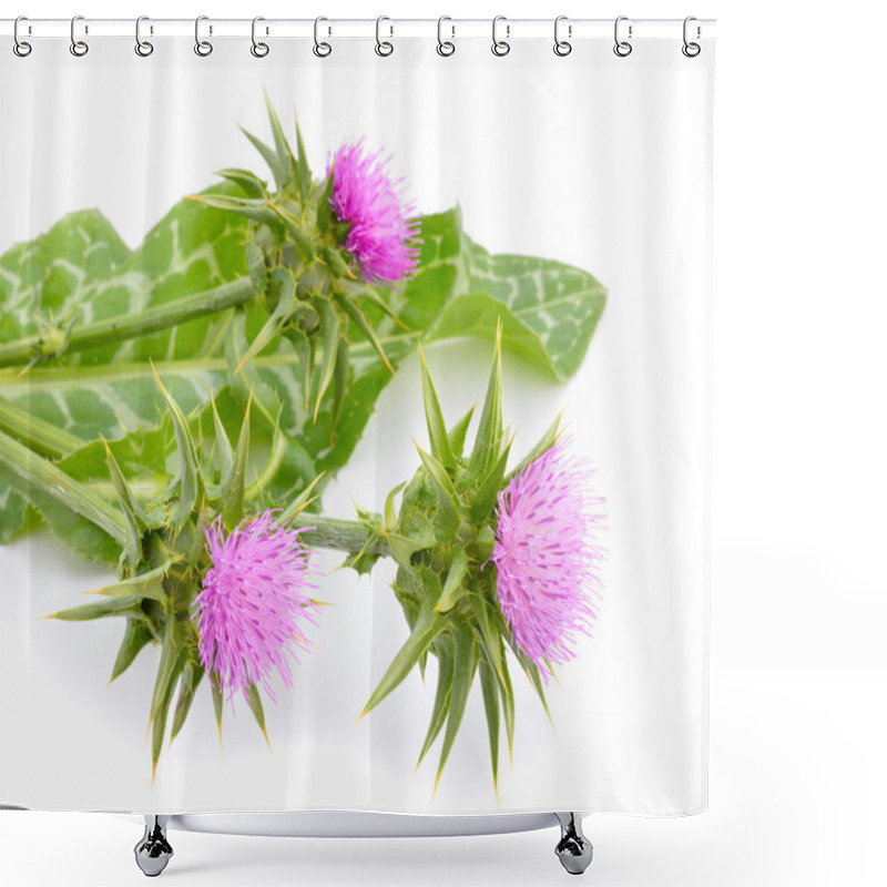 Personality  Milk thistle shower curtains