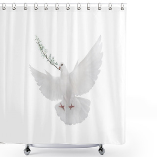 Personality  Free Flying White Dove Isolated  Shower Curtains